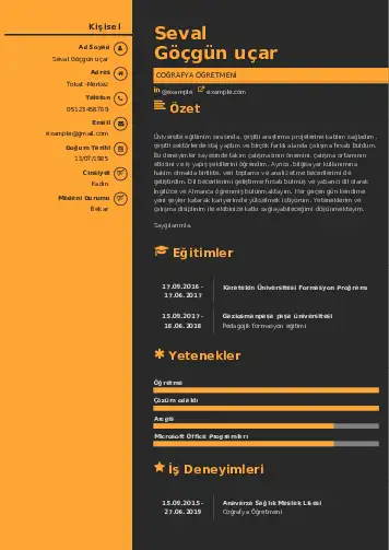 Coğrafya Öğretmeni CV Örnekleri cv indir